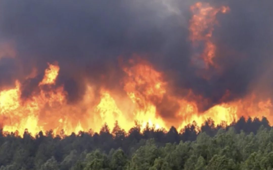 Rebuilding After a Fire: A Home Builder’s Guide To Starting Over